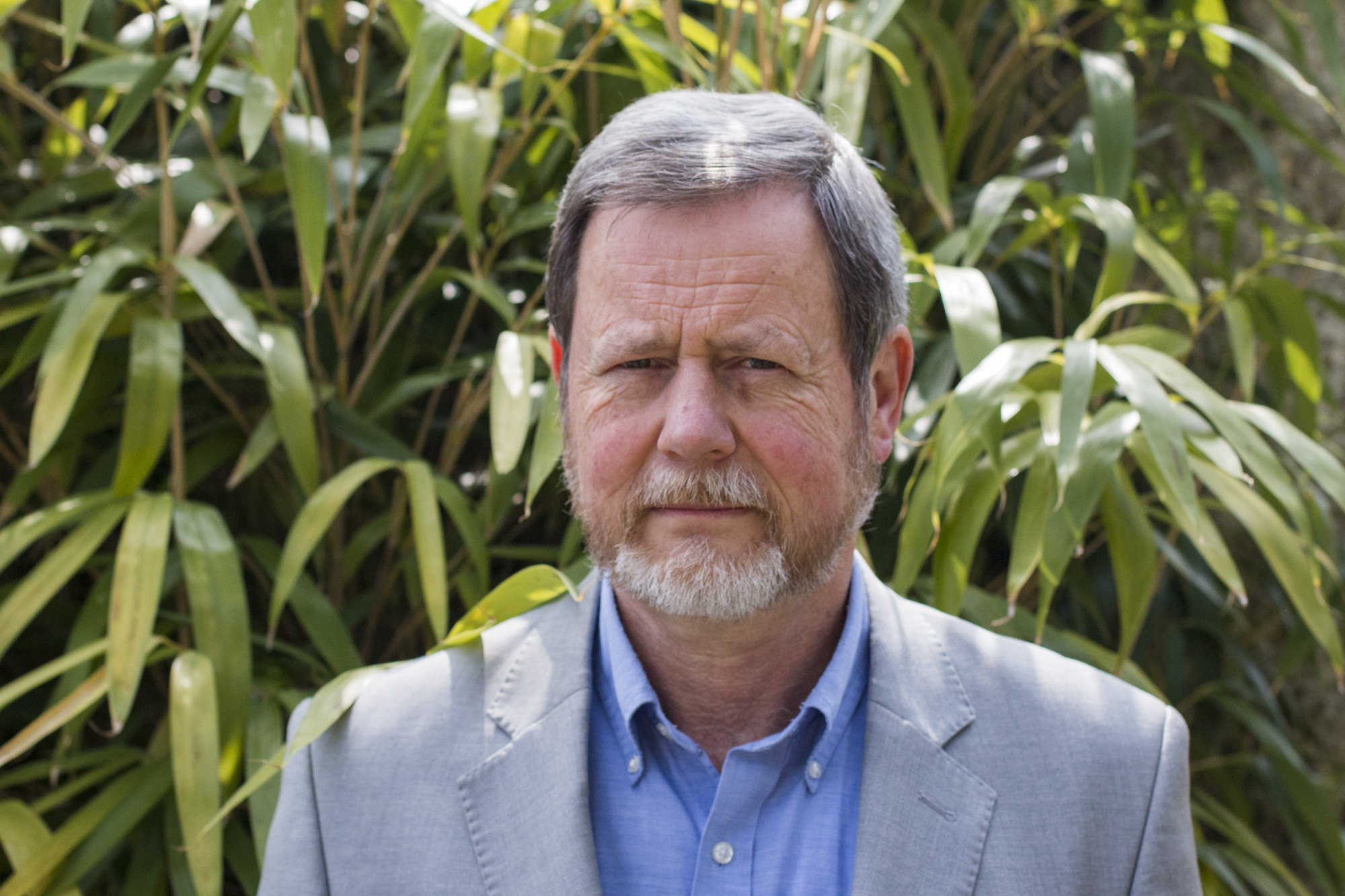 Hartmut Stützel